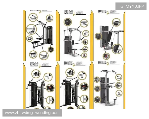健身器材采购公司的选择标准及推荐名单